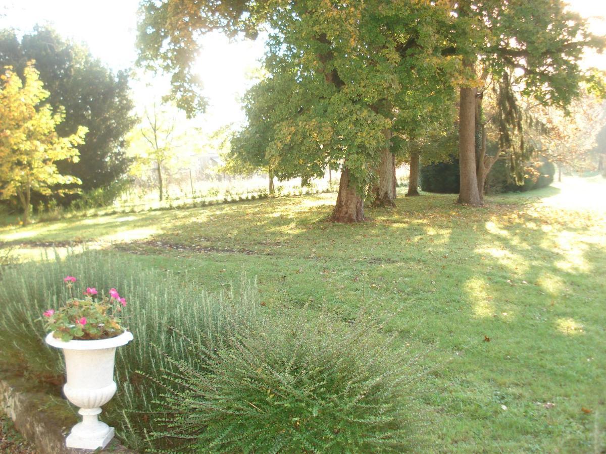 Saint-Michel-sur-Loire Domaine De Planchoury B&B 외부 사진